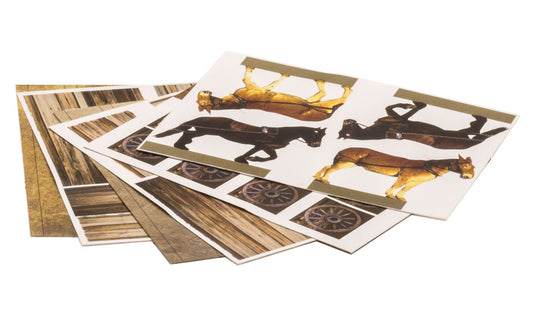 Woodland Scenics Pioneer Kit