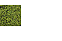 Plastruct Spring Green Extra Fine Ground Cover (1-7/8 oz / 50 gram package)