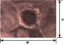 Plastruct Moon & War Craters Sheet 12