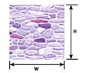 Plastruct O gauge Gray Field Stone Sheet 12