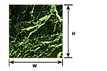 Plastruct Dollhouse Scale Green Marble Paper Sheet 7-1/2